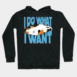 I Do What I Want Cat Lover Gift Hoodie